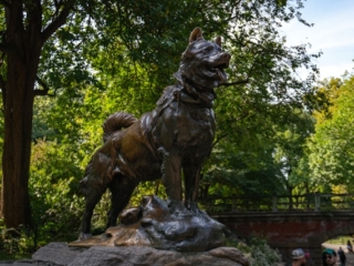 andrea-pedruzzi-om5Wdj0wefA-unsplash