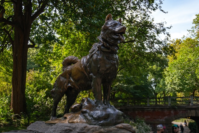 Balto the Hero Dog: The True Story of Courage and Loyalty