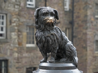 greyfriars-7149194_1920